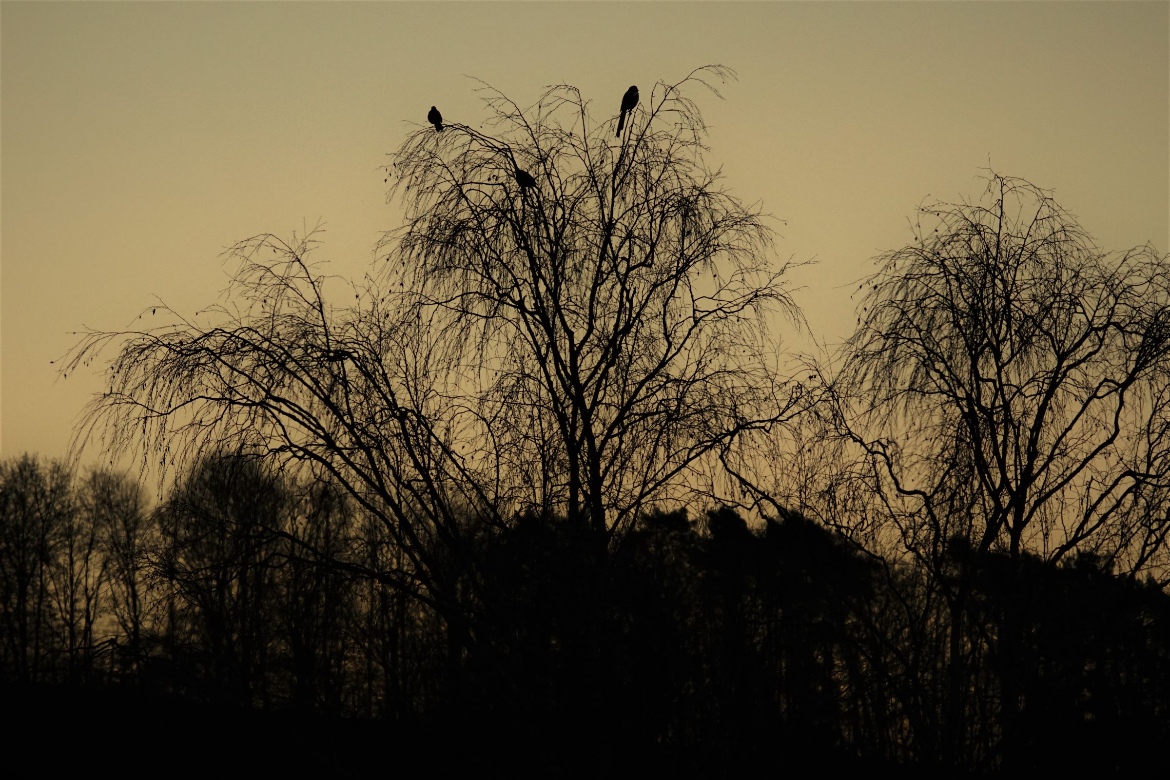 Altmorschen Eichkopf um 7 Uhr